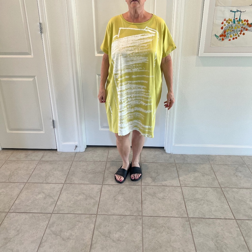 Moyuru Tunic Dress